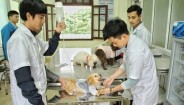 Ngành Thú y là gì? Ra trường sẽ làm nghề gì?